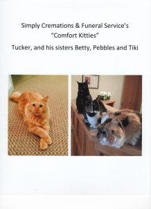Meet our "Comfort Kitties" 